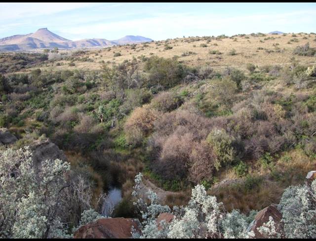 1,848HA FARM FOR SALE IN MIDDELBURG RURAL